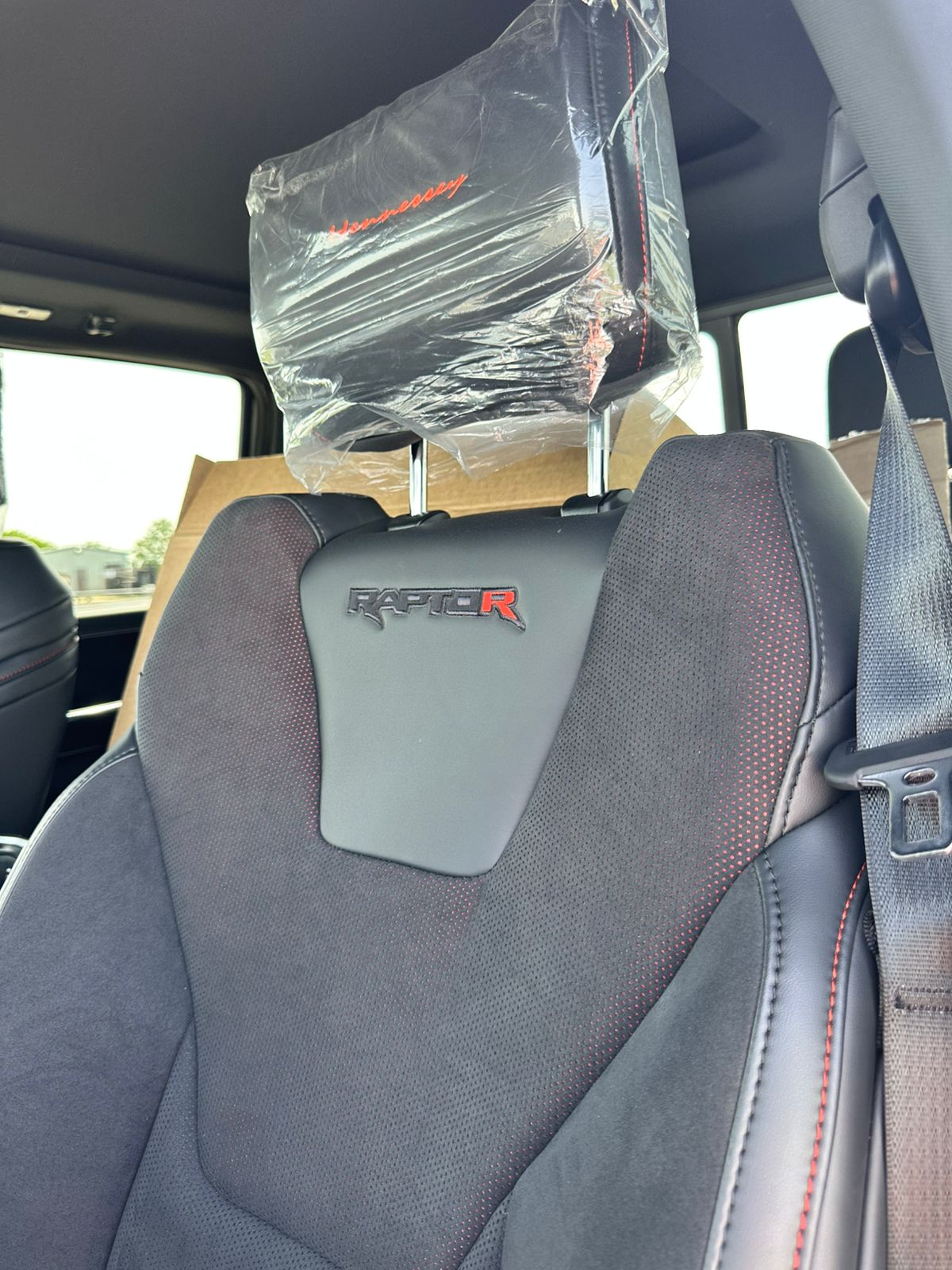 Velociraptor - View 2